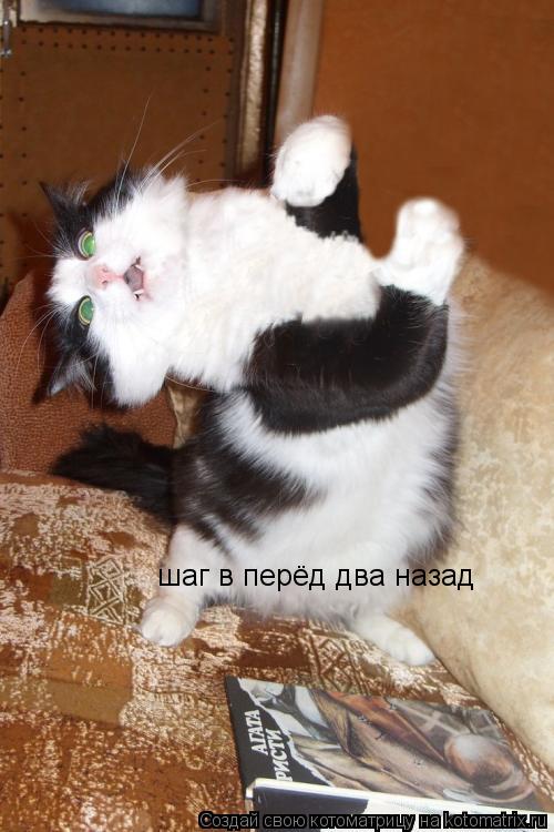 Котоматрица: шаг в перёд два назад