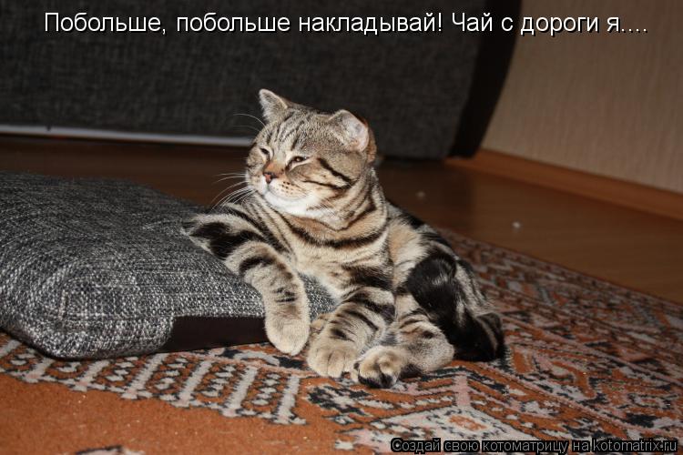 Котоматрица: Побольше, побольше накладывай! Чай с дороги я....