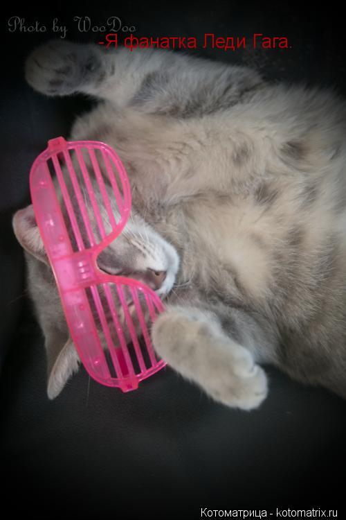 Котоматрица: -Я фанатка Леди Гага.