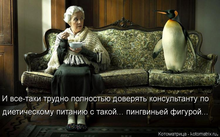 Котоматрица: И все-таки трудно полностью доверять консультанту по диетическому питанию с такой... пингвиньей фигурой...