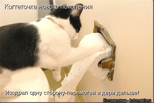 Котоматрица: Когтеточка нового поколения Изодрал одну сторону-перемотай и дери дальше!