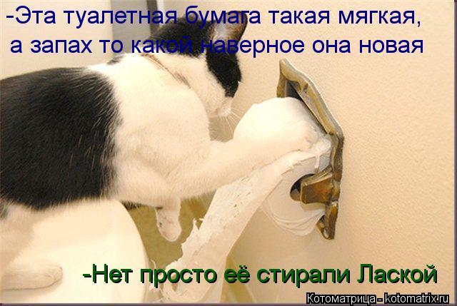Котоматрица: -Эта туалетная бумага такая мягкая, а запах то какой наверное она новая -Нет просто её стирали Лаской