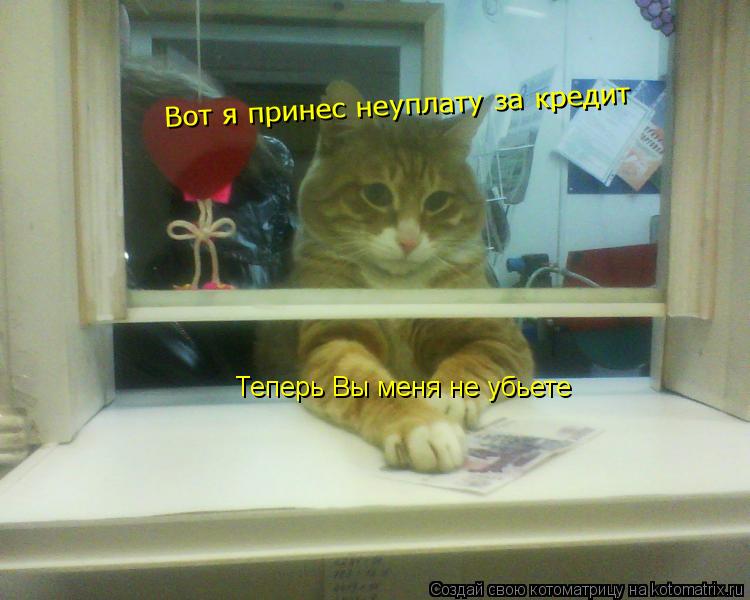 Котоматрица: Теперь Вы меня не убьете  Вот я принес неуплату за кредит