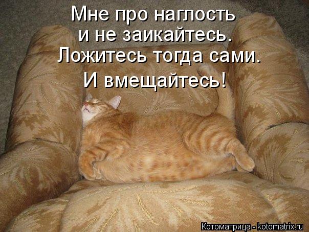 Котоматрица: Мне про наглость и не заикайтесь. Ложитесь тогда сами. И вмещайтесь!