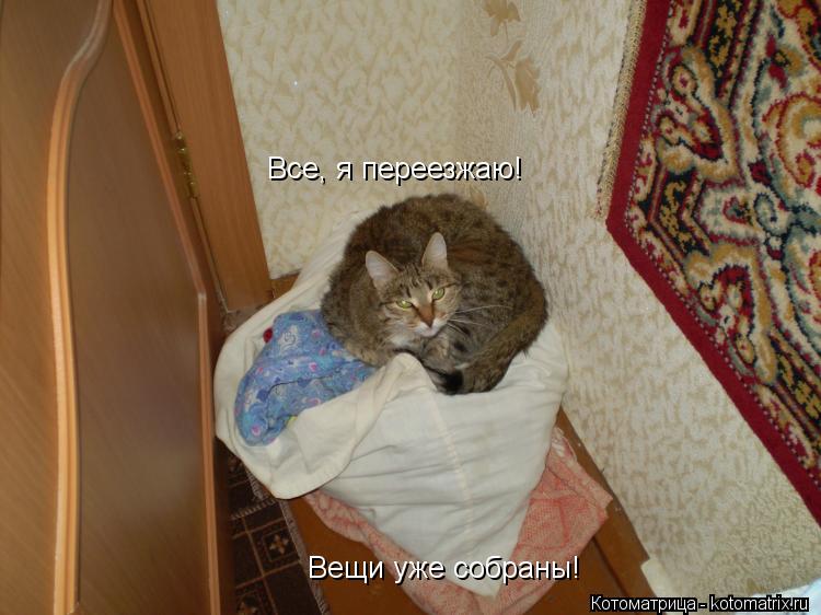 Все, я переезжаю! Вещи уже собраны!... Котоматрица: Все, я переезжаю! Вещи уже собраны!