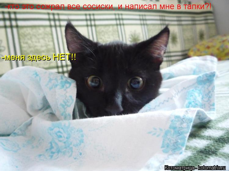 -кто это сожрал все сосиски, и написал мне в тапки?! -меня здесь НЕТ!!... Котоматрица: -кто это сожрал все сосиски, и написал мне в тапки?! -меня здесь НЕТ!!
