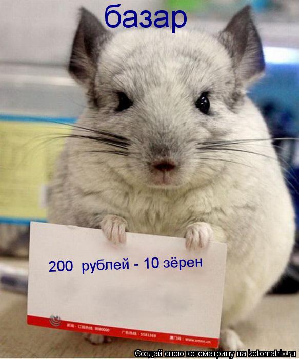 базар 200 рублей - 10 зёрен... Котоматрица: базар 200 рублей - 10 зёрен