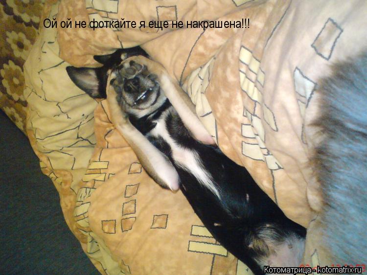 Котоматрица: Ой ой не фоткайте я еще не накрашена!!!