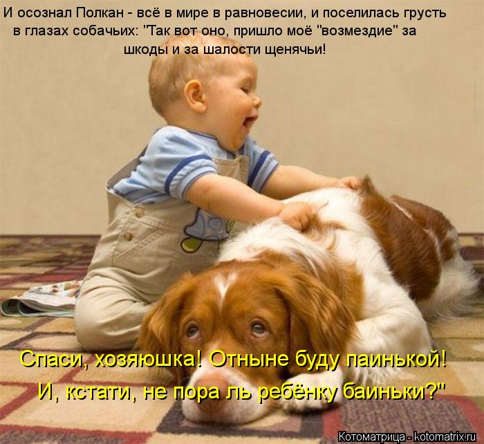 Котоматрица: И осознал Полкан - всё в мире в равновесии, и поселилась грусть в глазах собачьих: "Так вот оно, пришло моё "возмездие" за шкоды и за шалости ще