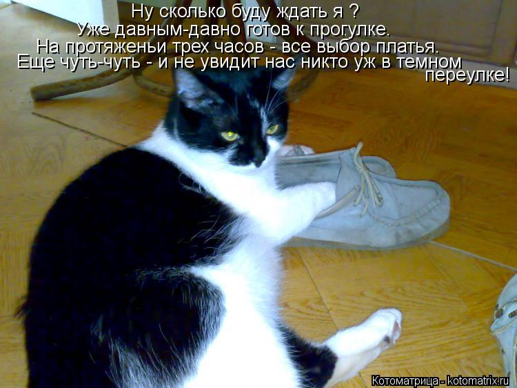 Котоматрица: Hу сколько буду ждать я ? Уже давным-давно готов к прогулке. На протяженьи трех часов - все выбор платья.  Еще чуть-чуть - и не увидит нас никто 