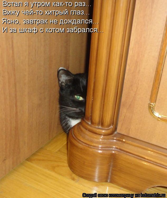 Котоматрица: Встал я утром как-то раз... Вижу чей-то хитрый глаз... Ясно, завтрак не дождался... И за шкаф с котом забрался...