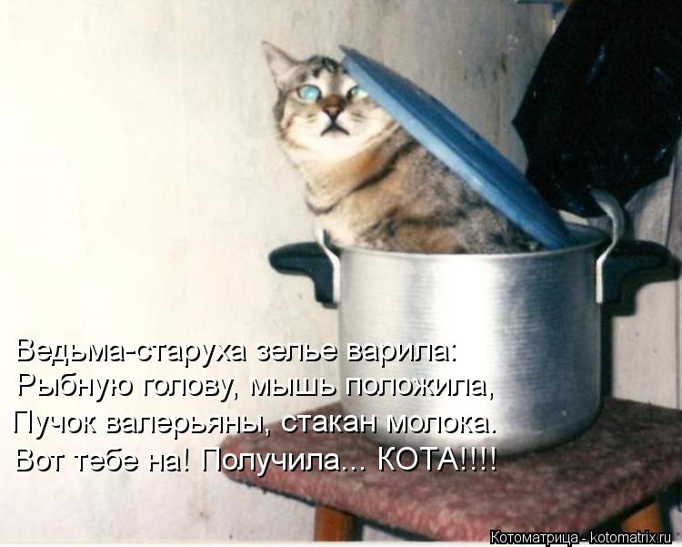 Ведьма-старуха зелье варила: Рыбную голову, мышь положила, Пучок валерьяны, стакан молока. Вот тебе н... Котоматрица: Ведьма-старуха зелье варила: Рыбную голову, мышь положила, Пучок валерьяны, стакан молока. Вот тебе на! Получила... КОТА!!!!