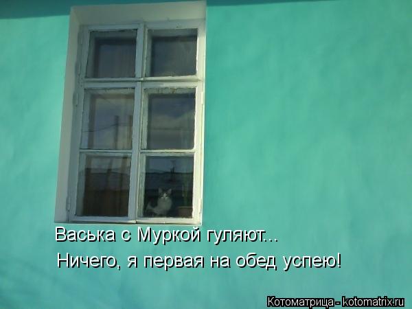 Котоматрица: Васька с Муркой гуляют... Ничего, я первая на обед успею!