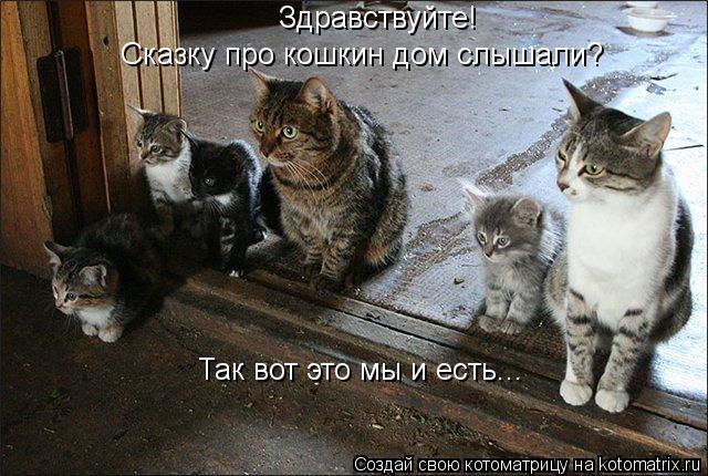 Котоматрица: Здравствуйте! Сказку про кошкин дом слышали? Так вот это мы и есть...