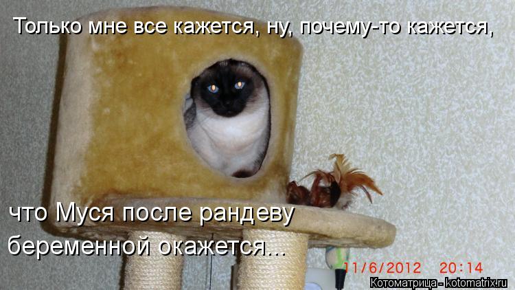 Котоматрица: Только мне все кажется, ну, почему-то кажется, что Муся после рандеву беременной окажется...