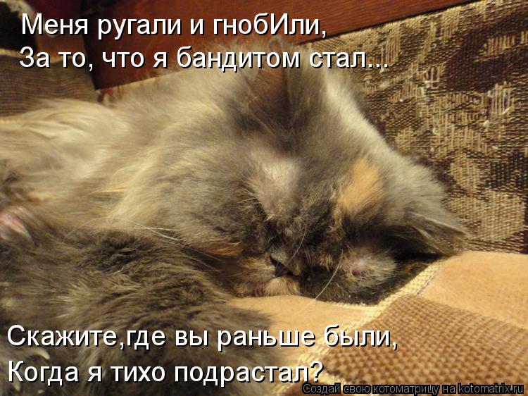 Котоматрица: Меня ругали и гнобИли, За то, что я бандитом стал... Скажите,где вы раньше были, Когда я тихо подрастал?