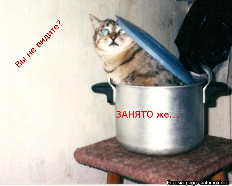 Котоматрица: Вы не видите? ЗАНЯТО же...