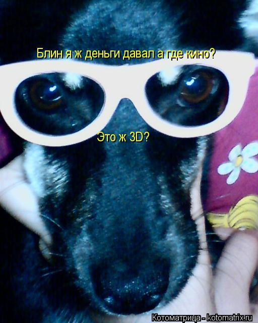 Котоматрица: Блин я ж деньги давал а где кино? Это ж 3D?