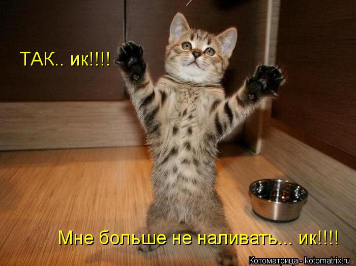 Котоматрица: ТАК.. ик!!!! Мне больше не наливать... ик!!!!