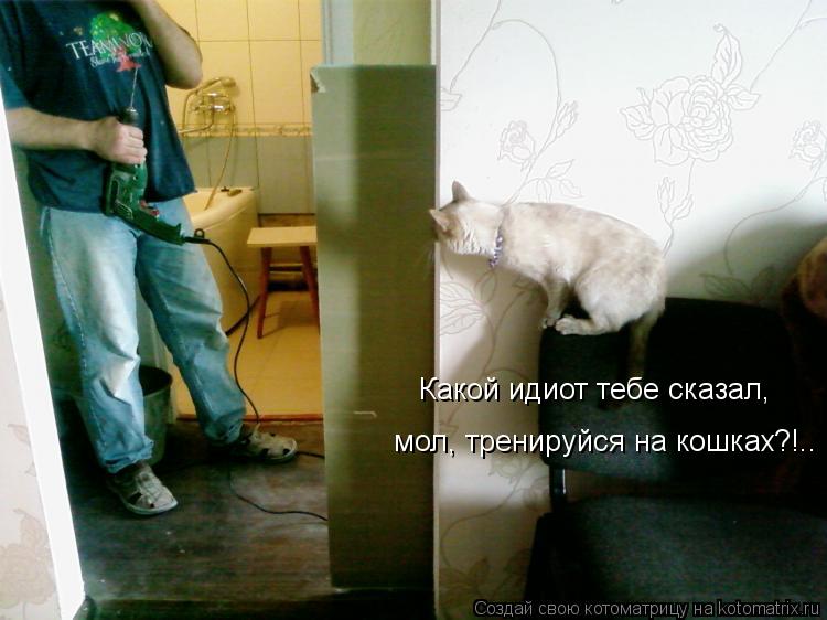 Котоматрица: Какой идиот тебе сказал, мол, тренируйся на кошках?!..