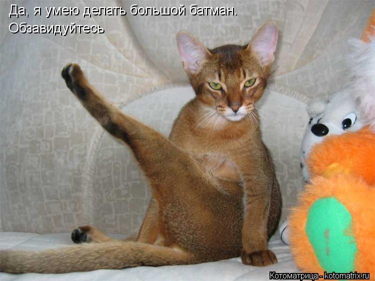 Котоматрица: Да, я умею делать большой батман. Обзавидуйтесь