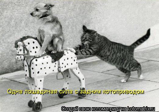 Котоматрица: Одна лошадиная сила с задним котоприводом