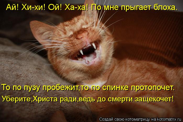 Котоматрица: То по пузу пробежит,то по спинке протопочет. Ай! Хи-хи! Ой! Ха-ха! По мне прыгает блоха. Уберите,Христа ради,ведь до смерти защекочет!