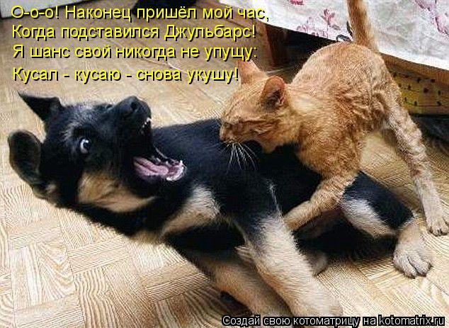 Котоматрица: О-о-о! Наконец пришёл мой час, Когда подставился Джульбарс! Я шанс свой никогда не упущу: Кусал - кусаю - снова укушу!