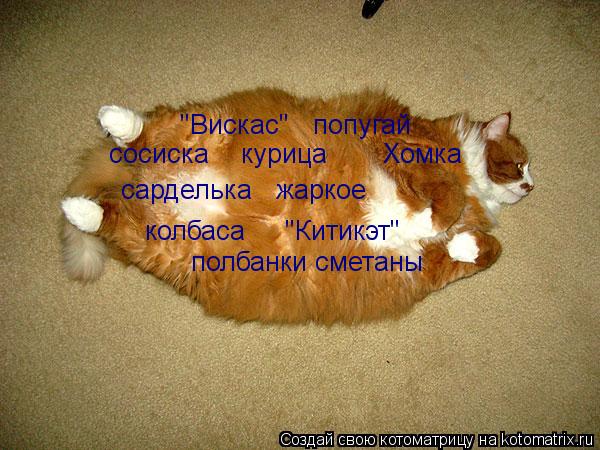 Котоматрица: сарделька   жаркое сосиска    курица       Хомка колбаса     "Китикэт" полбанки сметаны "Вискас"   попугай