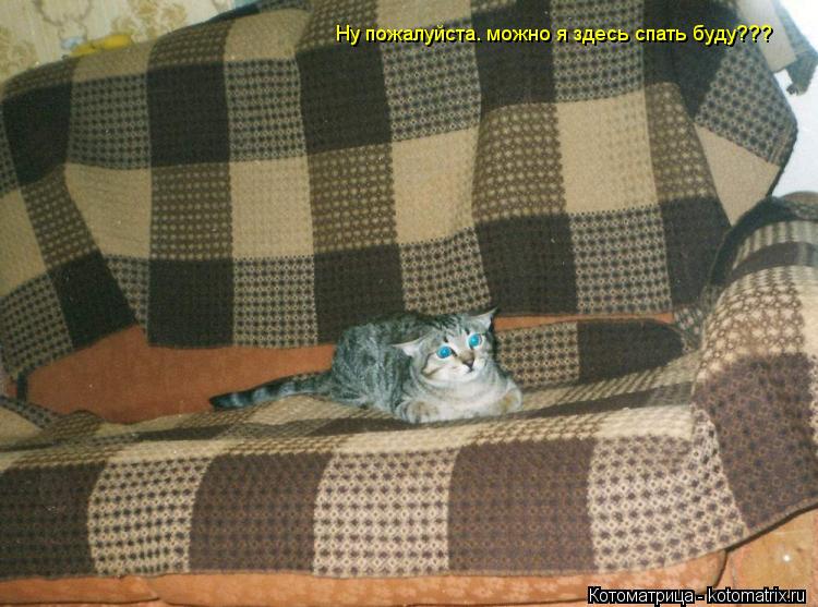 Котоматрица: Ну пожалуйста. можно я здесь спать буду???