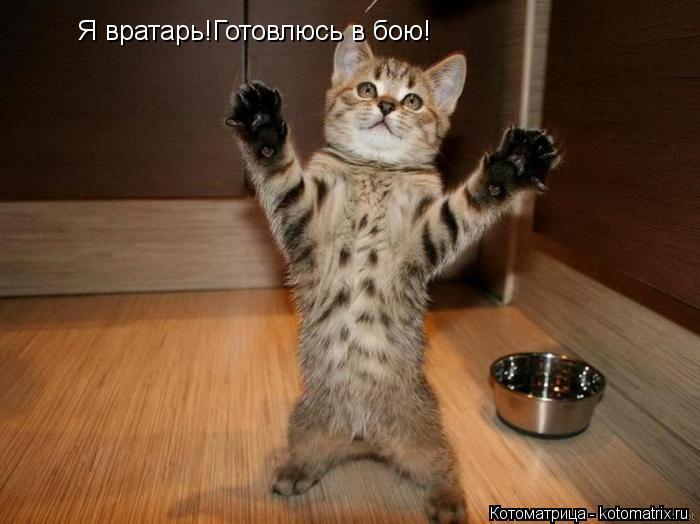 Котоматрица: Я вратарь!Готовлюсь в бою!