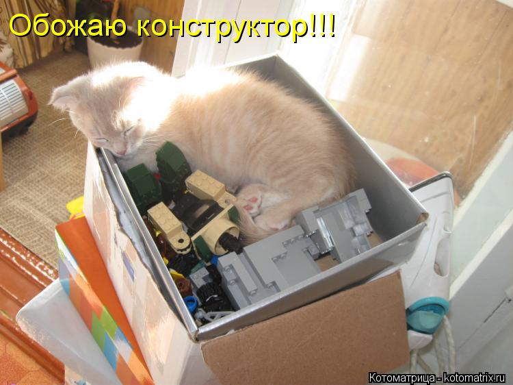 Котоматрица: Обожаю конструктор!!!