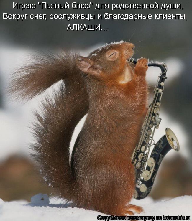 Котоматрица: Играю "Пьяный блюз" для родственной души, Вокруг снег, сослуживцы и благодарные клиенты, АЛКАШИ...