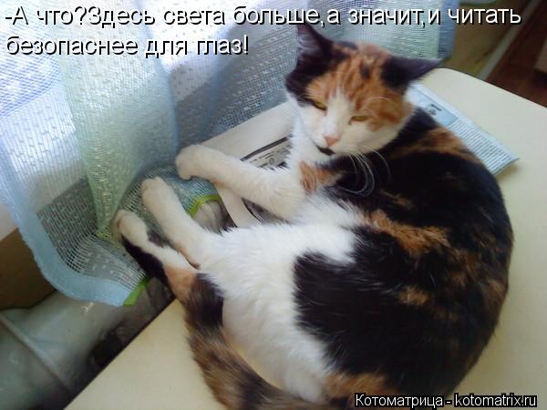 Котоматрица: -А что?Здесь света больше,а значит,и читать безопаснее для глаз!