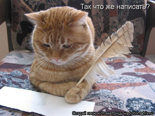 Котоматрица: Так что же написать?