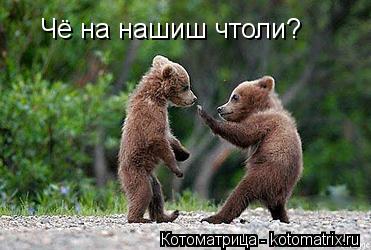 Котоматрица: Чё на нашиш чтоли?