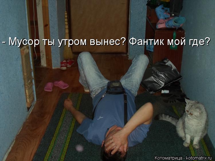 Котоматрица: - Мусор ты утром вынес? Фантик мой где?