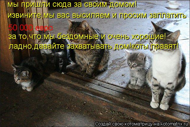 Котоматрица: мы пришли сюда за своим домом! извините,мы вас высиляем и просим заплатить  50 000 евро за то,что мы бездомные и очень хорошие! ладно,давайте за