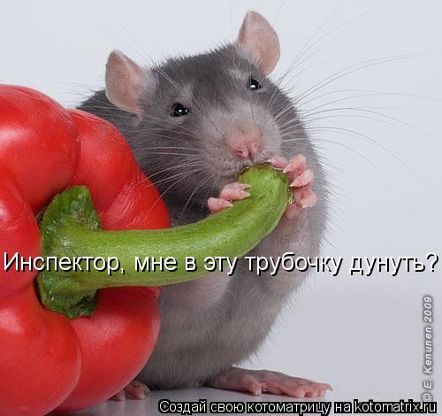 Котоматрица: Инспектор, мне в эту трубочку дунуть?