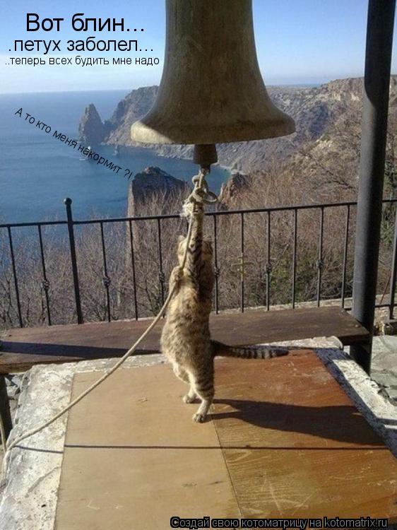 Котоматрица: Вот блин... .петух заболел... ..теперь всех будить мне надо А то кто меня накормит ?!