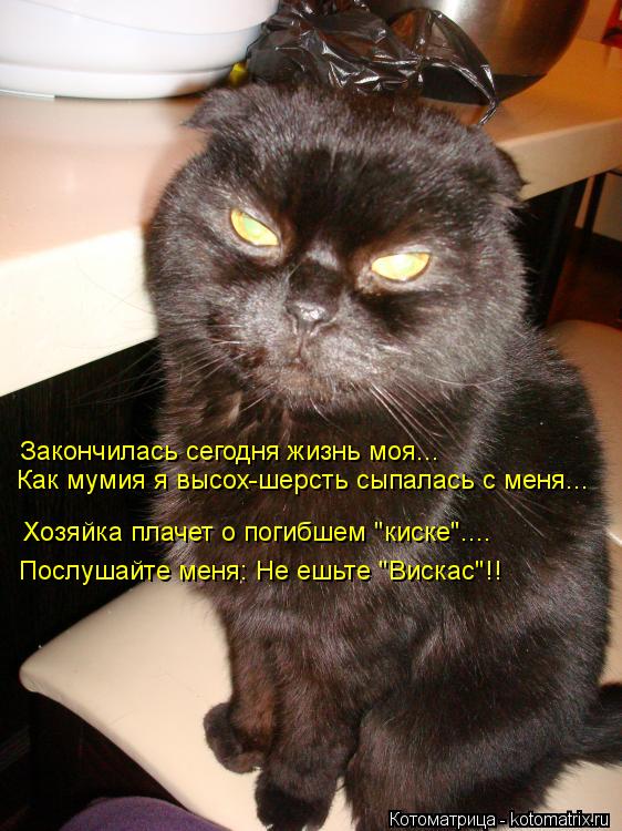 Котоматрица: Закончилась сегодня жизнь моя... Как мумия я высох-шерсть сыпалась с меня... Хозяйка плачет о погибшем "киске".... Послушайте меня: Не ешьте "Вис