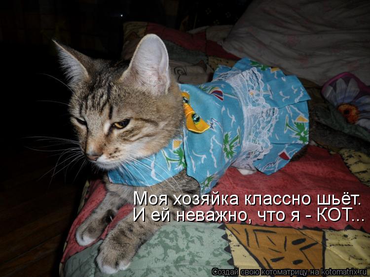 Котоматрица: Моя хозяйка классно шьёт. И ей неважно, что я - КОТ...
