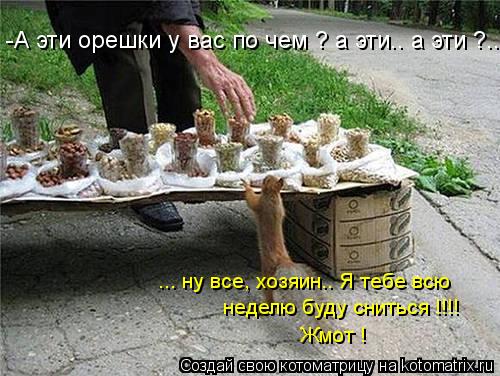 Котоматрица: -А эти орешки у вас по чем ? а эти.. а эти ?... ... ну все, хозяин.. Я тебе всю  неделю буду сниться !!!! Жмот !
