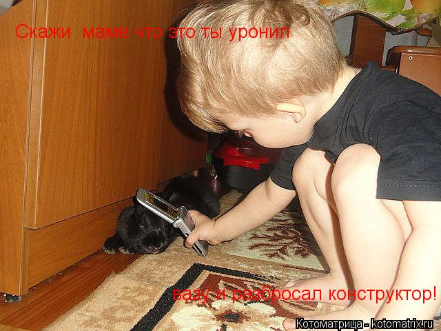Котоматрица: Скажи  маме что это ты уронил вазу и разбросал конструктор!