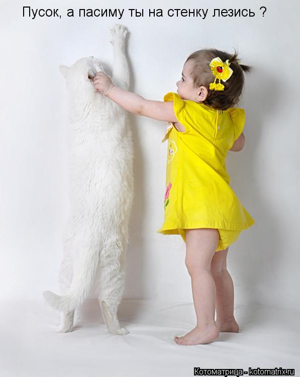 Котоматрица: Пусок, а пасиму ты на стенку лезись ?