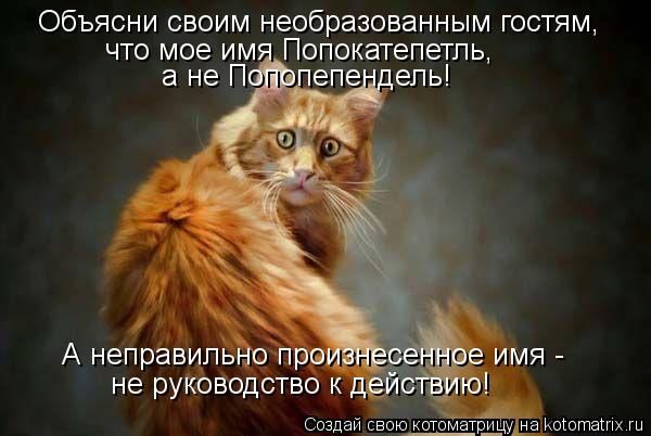 Котоматрица: Объясни своим необразованным гостям, что мое имя Попокатепетль,  а не Попопепендель! А неправильно произнесенное имя - не руководство к дей
