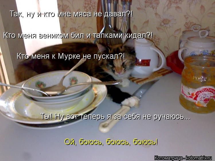 Так, ну и кто мне мяса не давал?! Кто меня веником бил и тапками кидал?! Кто меня к Мурке не пускал?!... Котоматрица: Так, ну и кто мне мяса не давал?! Кто меня веником бил и тапками кидал?! Кто меня к Мурке не пускал?! Ты! Ну вот теперь я за себя не ручаюсь... Ой, б