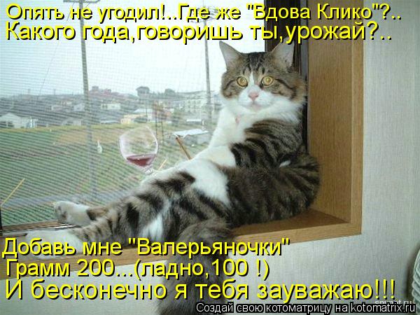 Опять не угодил!..Где же "Вдова Клико"?.. Какого года,говоришь ты,урожай?.. Добавь мне "Валерьяночки"... Котоматрица: Опять не угодил!..Где же "Вдова Клико"?.. Какого года,говоришь ты,урожай?.. Добавь мне "Валерьяночки" Грамм 200...(ладно,100 !) И бесконечно я тебя зау