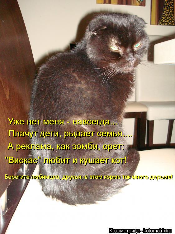 Котоматрица: Уже нет меня - навсегда... Плачут дети, рыдает семья.... А реклама, как зомби, орет: "Вискас" любит и кушает кот! Берегите любимцев, друзья,-в этом 