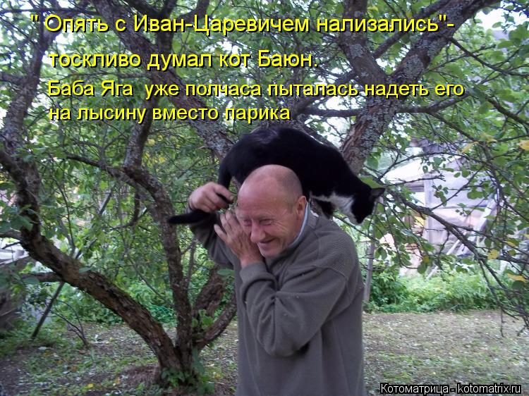 Котоматрица: " Опять с Иван-Царевичем нализались"-  тоскливо думал кот Баюн. Баба Яга  уже полчаса пыталась надеть его  на лысину вместо парика